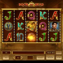 ParadisePlay - Book of Dead Slot Game